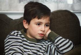 portrait of Young Child Boy
