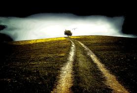 road grass wild nature landscape