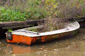 Overgrown Abandoned Boat