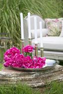 candles with flowers on the table