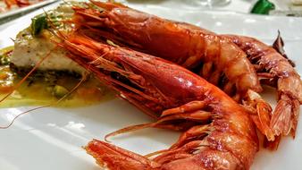 delicious shrimp in sauce