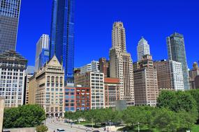 Beautiful Chicago, with the colorful buildings and green trees in USA, at blue sky on background