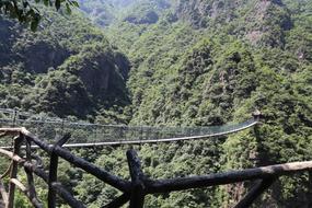 Bridge, among the beautiful, green plants, on the mountains