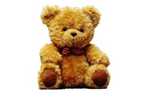 Teddy Bear
