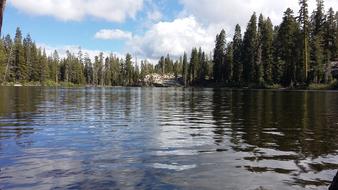 the smoothness of the lake in the forest