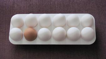 raw chicken eggs