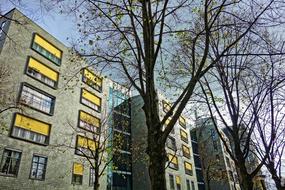 Building Apartment Block House and trees in city