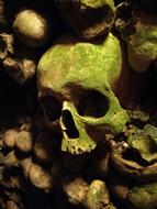 Cemetery skeleton green