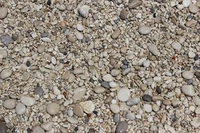 small and large pebbles on the coast