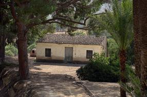 Bed And Breakfast Rustic House and trees