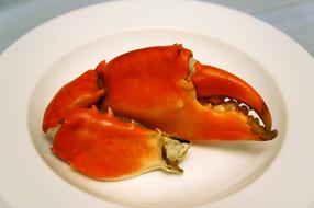 boiled crab claws
