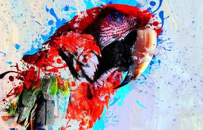 bird parrot animal art abstract