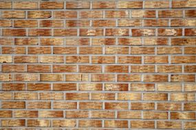 textured light brown brick wall