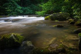 green grass in water with rocks