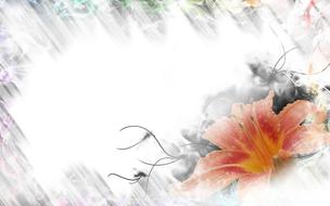 Colorful drawing with the flowers with leaves and white image, clipart