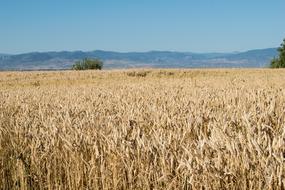 Spain Santiago Path Road