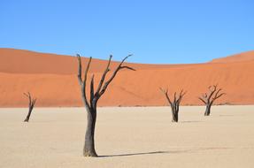 Sossusvlei Africa Namibia Desert