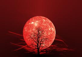 Silhouette of the tree, at background with red Moon and shapes, clipart