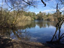 Lake Ashford Water