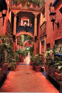 Beautiful interior of the house with colorful plants