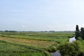 Dutch Landscape Meadow Polder