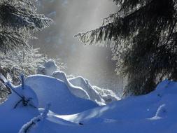 snowy beautiful view