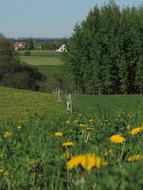 nice view in poland