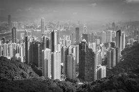 panoramic view of hong kong in black and white background