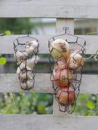 garlic in basket