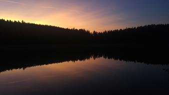 silhouette of the forest in the night