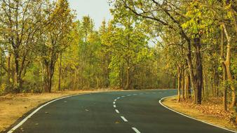 Green Road Outdoor
