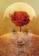 fantasy science fiction face