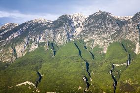 high mountain in leaves