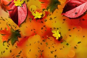 orange red autumn background