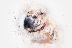 dog portrait sharpei art abstract