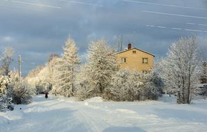 sweet home in the winter woods