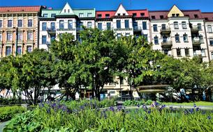 city street and garden