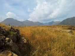 fall grass in the mountains