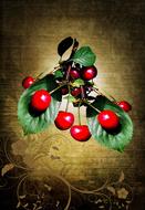 Nature Fruit Fruits