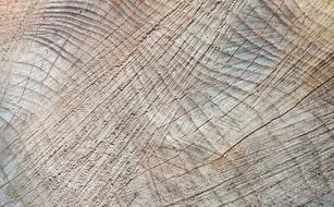 Wood lines Texture Background