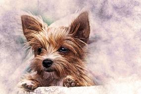 dog puppy pet art nature abstract