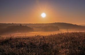 bright sunshine and meadow