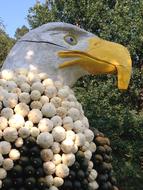 Eagle Pumpkin Fall