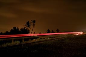 Light Night Trail