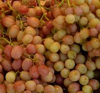 sweet grapes fruit