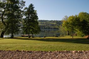 lake with trees
