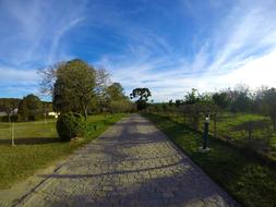Road Field Path