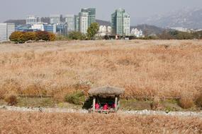 Park Seoul reed park