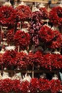 red hot peppers on the wall