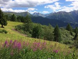 Alpine Nature Landscape